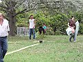 img 016
